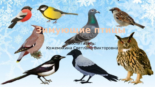 Зимующие птицы Воспитатель: Кожемякина Светлана Викторовна