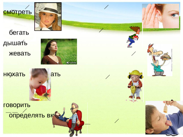 смотреть         слушать             бегать дышать                 жевать нюхать         работать   говорить             определять вкус