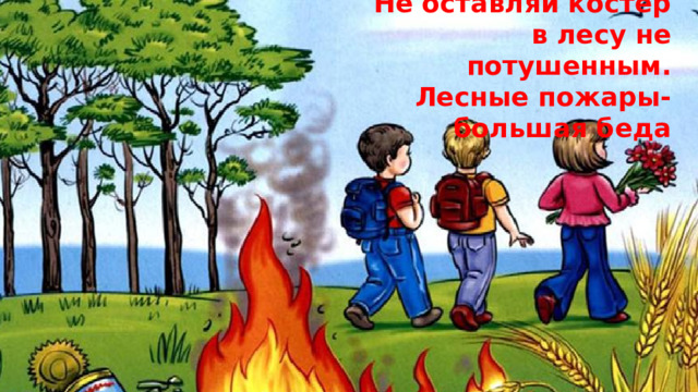 Не оставляй костер в лесу не потушенным.  Лесные пожары- большая беда