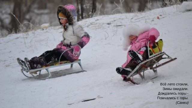 Всё лето стояли,  Зимы ожидали.  Дождались поры -  Помчались с горы.  (Санки)