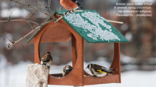 Всякая здесь может птица  В зимний холод угоститься.  На сучке висит избушка,  Называется…  (кормушка)
