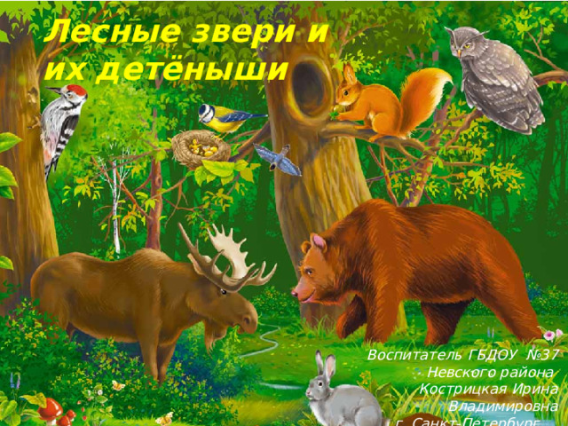 Лесные звери и их детёныши Воспитатель ГБДОУ №37 Невского района Кострицкая Ирина Владимировна г .Санкт-Петербург .