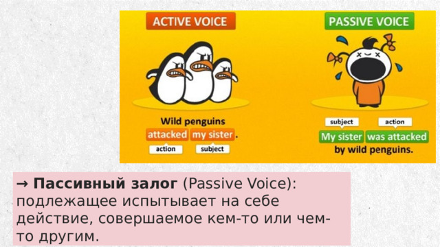 →   Пассивный залог  (Passive Voice): подлежащее испытывает на себе действие, совершаемое кем-то или чем-то другим.