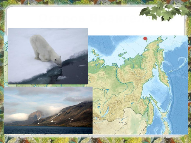 Остров Врангеля