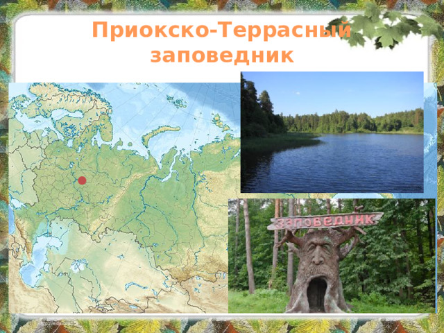 Приокско-Террасный заповедник
