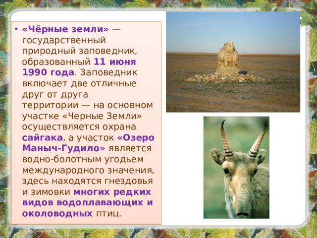 «Чёрные земли»  — государственный природный заповедник, образованный 11 июня 1990 года . Заповедник включает две отличные друг от друга территории — на основном участке «Черные Земли» осуществляется охрана сайгака , а участок «Озеро Маныч-Гудило» является водно-болотным угодьем международного значения, здесь находятся гнездовья и зимовки многих редких видов водоплавающих и околоводных птиц.