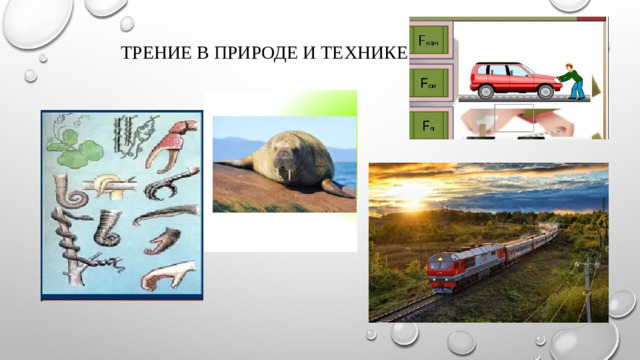 Трение в природе и технике .