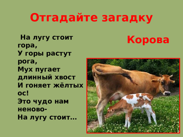 Отгадайте загадку  На лугу стоит гора,  У горы растут рога,  Мух пугает длинный хвост  И гоняет жёлтых ос!  Это чудо нам неново-  На лугу стоит…  Корова