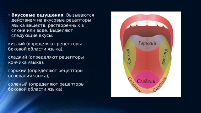Вкусовые ощущения . Вызываются действием на вкусовые рецепторы языка веществ, растворенных в слюне или воде. Выделяют следующие вкусы: