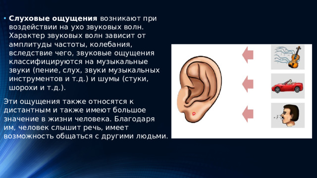 Слуховые ощущения возникают при воздействии на ухо звуковых волн. Характер звуковых волн зависит от амплитуды частоты, колебания, вследствие чего, звуковые ощущения классифицируются на музыкальные звуки (пение, слух, звуки музыкальных инструментов и т.д.) и шумы (стуки, шорохи и т.д.).