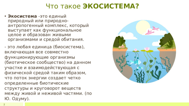 Что такое ЭКОСИСТЕМА? Экосистема -это единый природный или природно-антропогенный комплекс, который выступает как функциональное целое и образован живыми организмами и средой обитания. - это любая единица (биосистема), включающая все совместно функционирующие организмы (биотическое сообщество) на данном участке и взаимодействующая с физической средой таким образом, что поток энергии создает четко определенные биотические структуры и круговорот веществ между живой и неживой частями. (по Ю. Одуму). 1 1