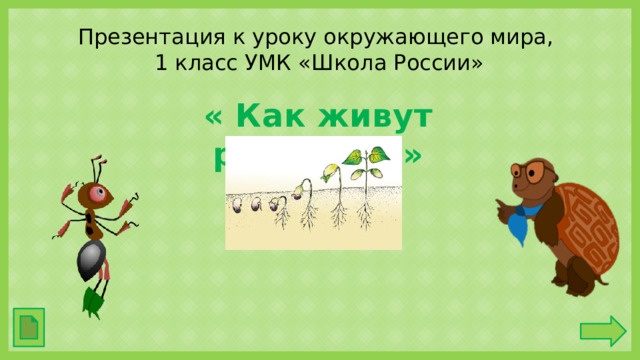 Презентация к уроку окружающего мира,  1 класс УМК «Школа России» « Как живут растения?»