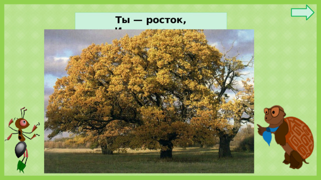 Ты — росток,  И я — росток.  Раз — листок,  И два — листок.  Подрастем ещё чуток,  И — чего же проще! —  Ты — дубок,  И я — дубок,  Я — дубок,  И ты — дубок,  Станем рядом бок о бок,  Вот и будет роща!