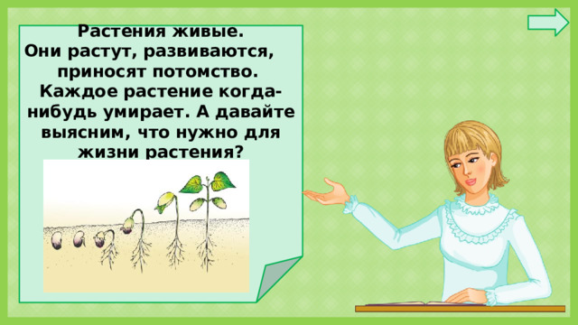 Растения живые. Они растут, развиваются, приносят потомство. Каждое растение когда-нибудь умирает. А давайте выясним, что нужно для жизни растения?