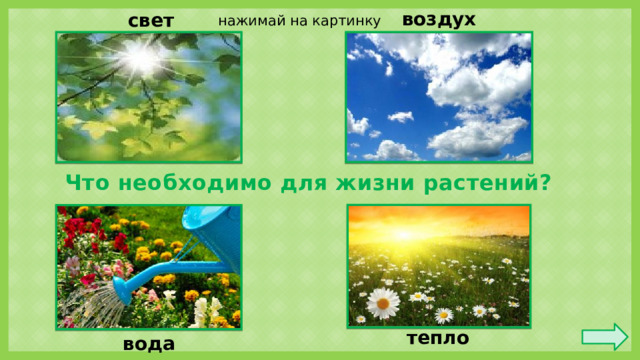 воздух свет нажимай на картинку Что необходимо для жизни растений? тепло вода