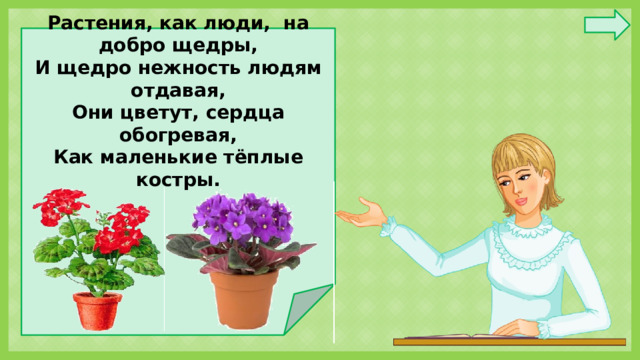 Растения, как люди, на добро щедры, И щедро нежность людям отдавая, Они цветут, сердца обогревая, Как маленькие тёплые костры.