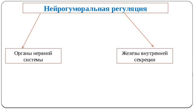 Нейрогуморальная регуляция   Органы нервной системы Железы внутренней секреции