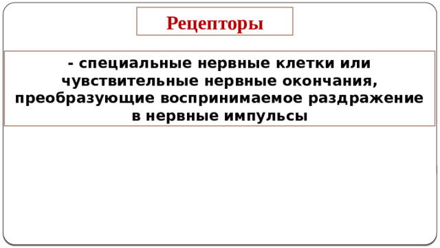 Рецепторы - специальные нервные клетки или чувствительные нервные окончания, преобразующие воспринимаемое раздражение в нервные импульсы