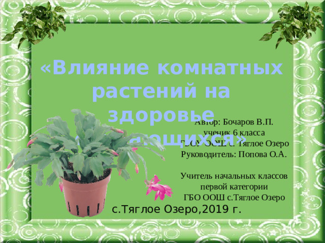 «Влияние комнатных растений на здоровье обучающихся» Автор: Бочаров В.П. ученик 6 класса ГБОУ ООШ с. Тяглое Озеро Руководитель: Попова О.А. Учитель начальных классов первой категории ГБО ООШ с.Тяглое Озеро с.Тяглое Озеро,2019 г.