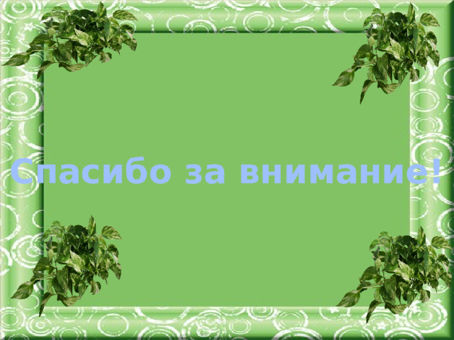 Спасибо за внимание!