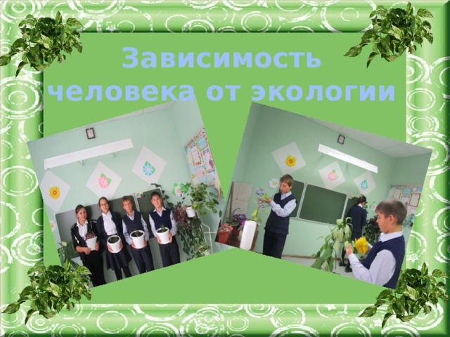 Зависимость человека от экологии