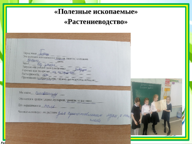 «Полезные ископаемые»  «Растениеводство»