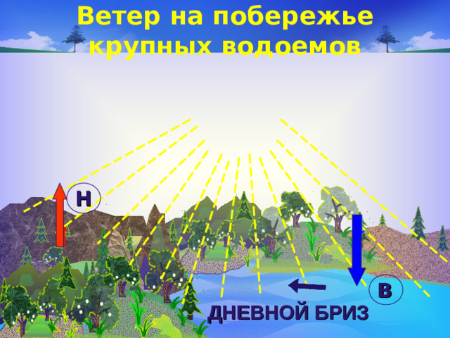 Ветер на побережье крупных водоемов Н В ДНЕВНОЙ БРИЗ