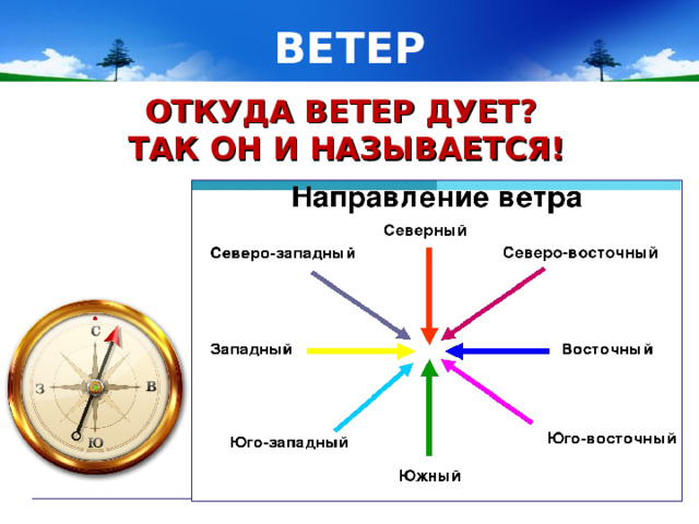 ВЕТЕР ОТКУДА ВЕТЕР ДУЕТ? ТАК ОН И НАЗЫВАЕТСЯ!