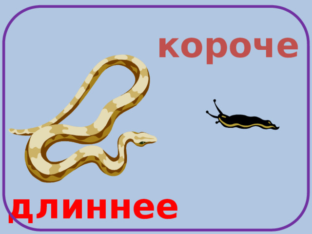 короче длиннее