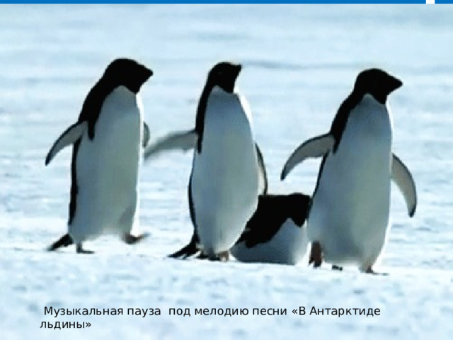 Музыкальная пауза под мелодию песни «В Антарктиде льдины»