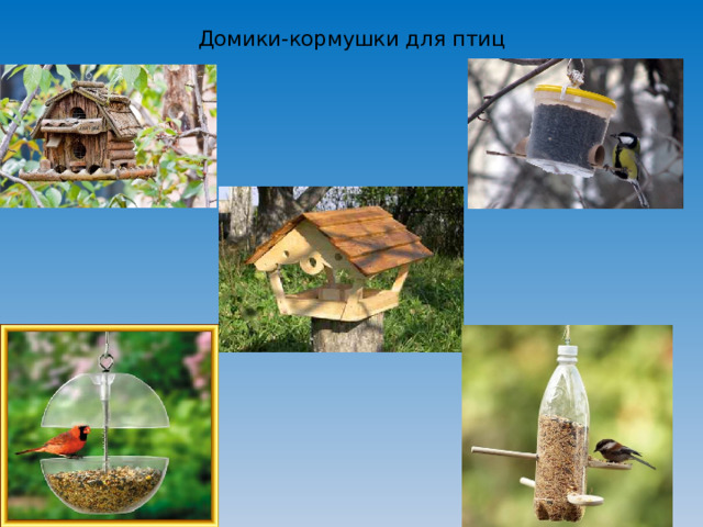 Домики-кормушки для птиц