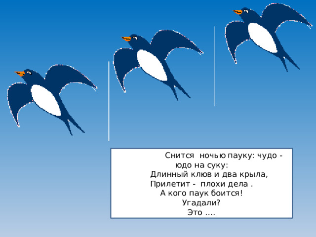 Снится но Снится ночью пауку: чудо - юдо на суку:  Длинный клюв и два крыла, Прилетит - плохи дела . А кого паук боится! Угадали? Это ….