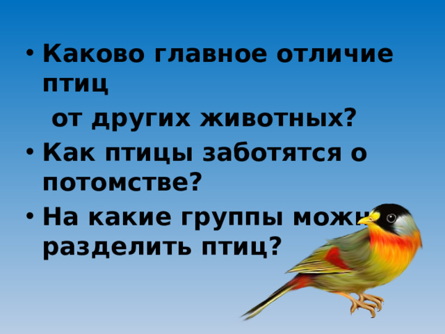 Каково главное отличие птиц  от других животных?