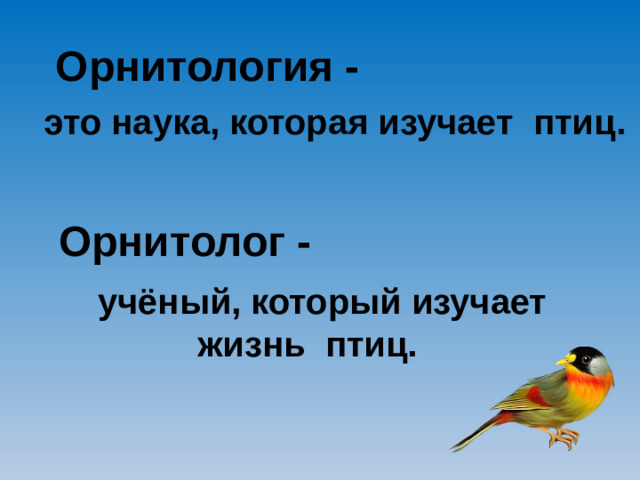 Орнитология -  это наука, которая изучает птиц. Орнитолог -  учёный, который изучает жизнь птиц.