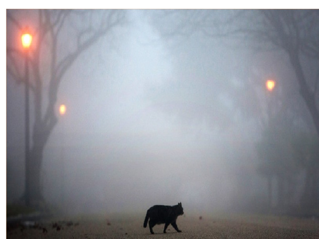 Рассчитайте, сколько граммов воды выделится из насыщенного воздуха с температурой + 20 при его охлаждении до 0 . 0 0 Решение При температуре 20 градусов, влажность воздуха 17 г ,  при понижении до 0 градусов, влажность будет 5 г  17г – 5г=12 г  12 г выделится в атмосферу