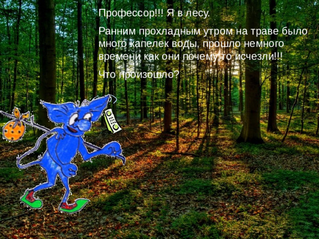 Профессор!!! Я в лесу. Ранним прохладным утром на траве было много капелек воды, прошло немного времени как они почему то исчезли!!! Что произошло? Профессор!!! Я в лесу. Ранним, прохладным утром на траве было много капелек воды, но прошло немного времени как они исчезли!!! Почему это произошло?