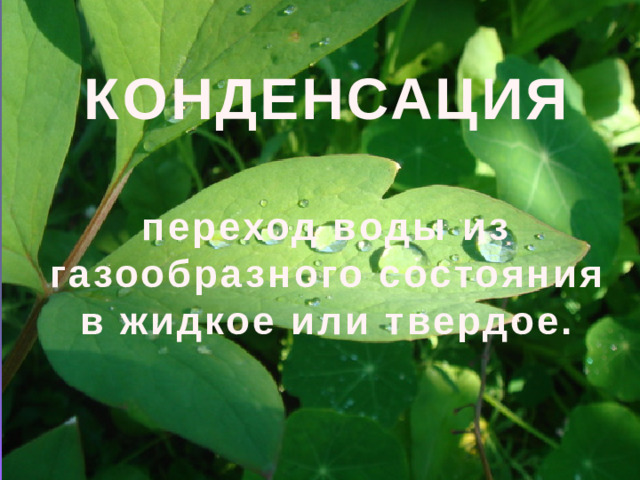 КОНДЕНСАЦИЯ переход воды из газообразного состояния в жидкое или твердое.