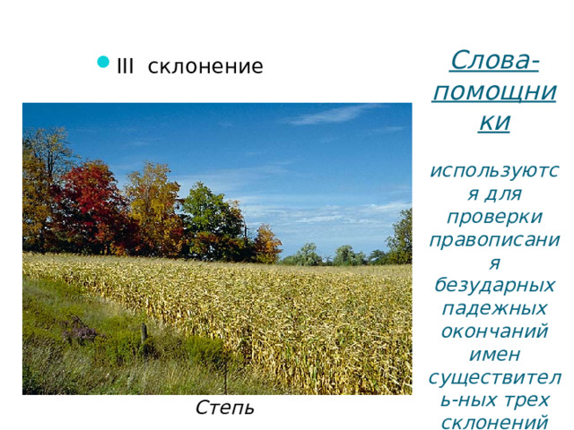 Слова-помощники  используются для проверки правописания безударных падежных окончаний имен существитель-ных трех склонений III   склонение Степь  16 16