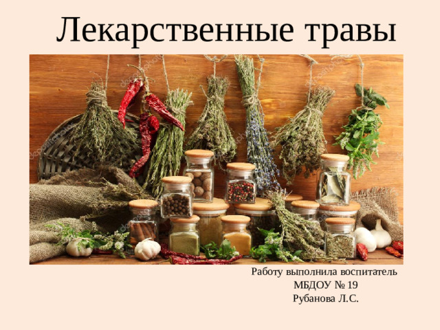 Лекарственные травы Работу выполнила воспитатель МБДОУ № 19 Рубанова Л.С.