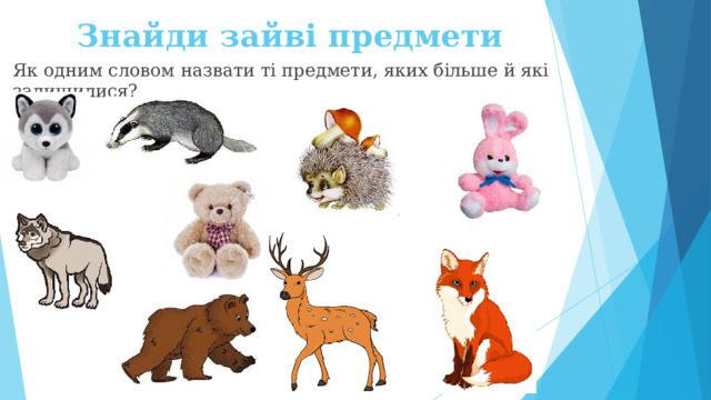 Знайди зайві предмети Як одним словом назвати ті предмети, яких більше й які залишилися?
