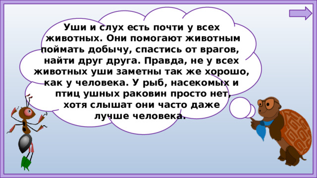 Уши и слух есть почти у всех  животных. Они помогают животным поймать добычу, спастись от врагов, найти друг друга. Правда, не у всех животных уши заметны так же хорошо, как у человека. У рыб, насекомых и  птиц ушных раковин просто нет,  хотя слышат они часто даже лучше человека.