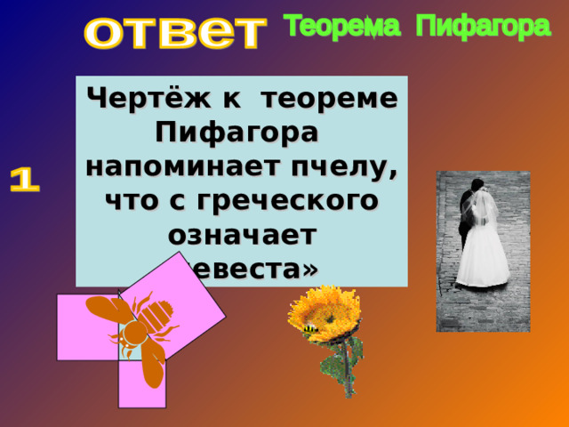Чертёж к теореме Пифагора напоминает пчелу, что с греческого означает «невеста»