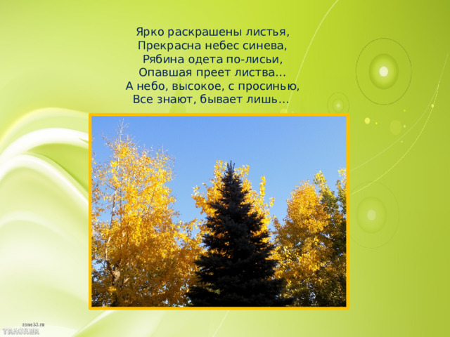 Ярко раскрашены листья,  Прекрасна небес синева,  Рябина одета по-лисьи,  Опавшая преет листва…  А небо, высокое, с просинью,  Все знают, бывает лишь… 