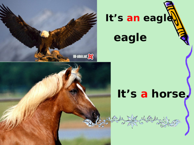 It’s an eagle. eagle It’s a horse.