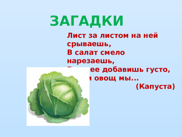 ЗАГАДКИ Лист за листом на ней срываешь,  В салат смело нарезаешь,  В щи ее добавишь густо,  Зовем овощ мы... (Капуста)