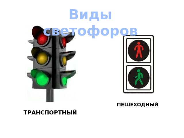 Виды светофоров Пешеходный  транспортный