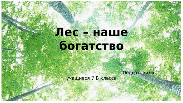 Лес – наше богатство  Подготовили учащиеся 7 Б класса