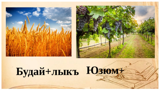 Юзюм + Будай+лыкъ