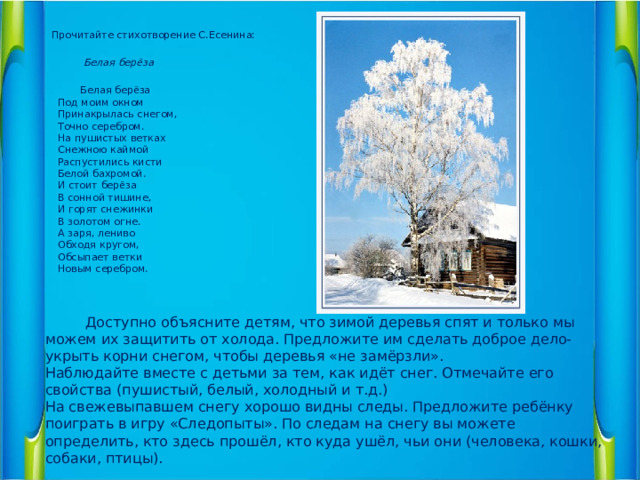   Прочитайте стихотворение С.Есенина:    Белая берёза   Белая берёза  Под моим окном  Принакрылась снегом,  Точно серебром.  На пушистых ветках  Снежною каймой  Распустились кисти  Белой бахромой.  И стоит берёза  В сонной тишине,  И горят снежинки  В золотом огне.  А заря, лениво  Обходя кругом,  Обсыпает ветки  Новым серебром.      Доступно объясните детям, что зимой деревья спят и только мы можем их защитить от холода. Предложите им сделать доброе дело- укрыть корни снегом, чтобы деревья «не замёрзли». Наблюдайте вместе с детьми за тем, как идёт снег. Отмечайте его свойства (пушистый, белый, холодный и т.д.) На свежевыпавшем снегу хорошо видны следы. Предложите ребёнку поиграть в игру «Следопыты». По следам на снегу вы можете определить, кто здесь прошёл, кто куда ушёл, чьи они (человека, кошки, собаки, птицы).  