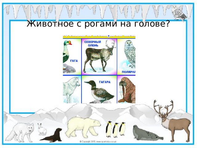 Животное с рогами на голове?